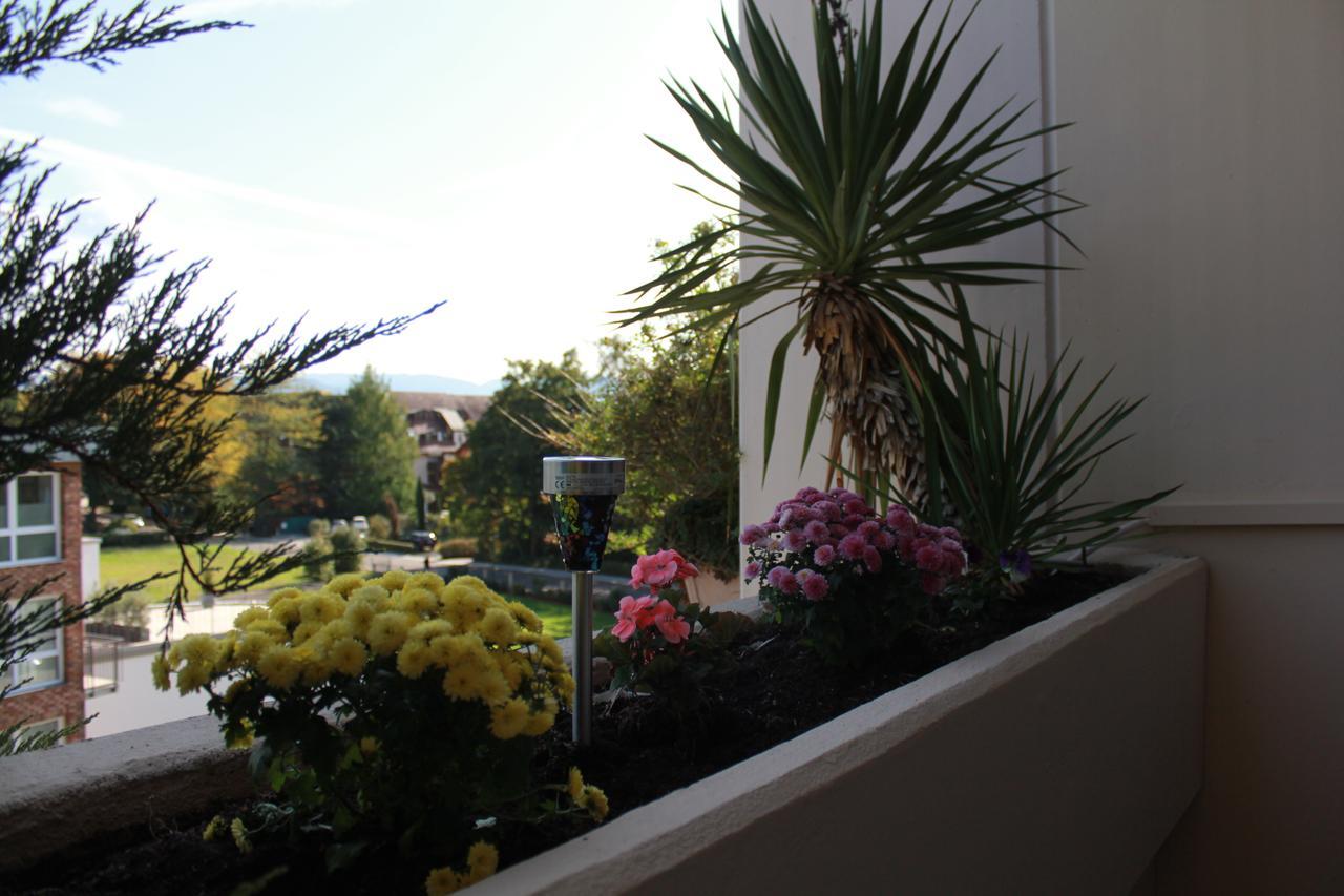 Mariaprimavera Apartment Am Kurpark Mit Schwarzwaldblick * * * * Bad Krozingen Ngoại thất bức ảnh