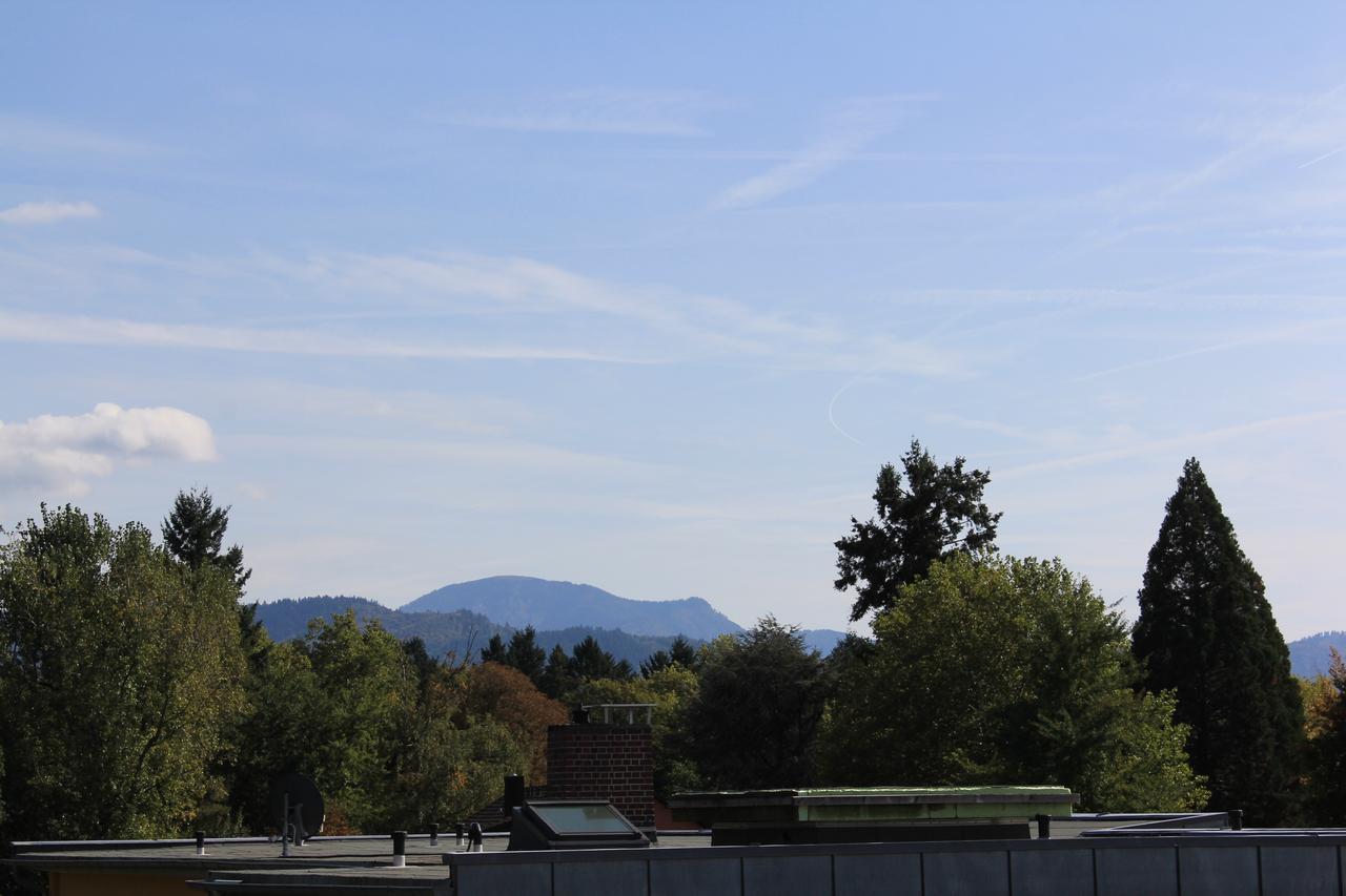 Mariaprimavera Apartment Am Kurpark Mit Schwarzwaldblick * * * * Bad Krozingen Ngoại thất bức ảnh